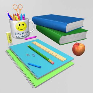 Portfolio Title